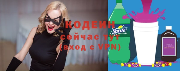 прущий лед Арсеньев