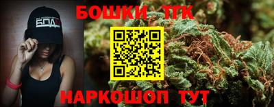 дмт Славгород