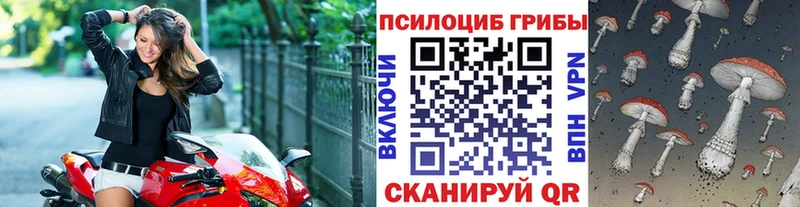hydra ссылка  Арсеньев  Галлюциногенные грибы Cubensis 
