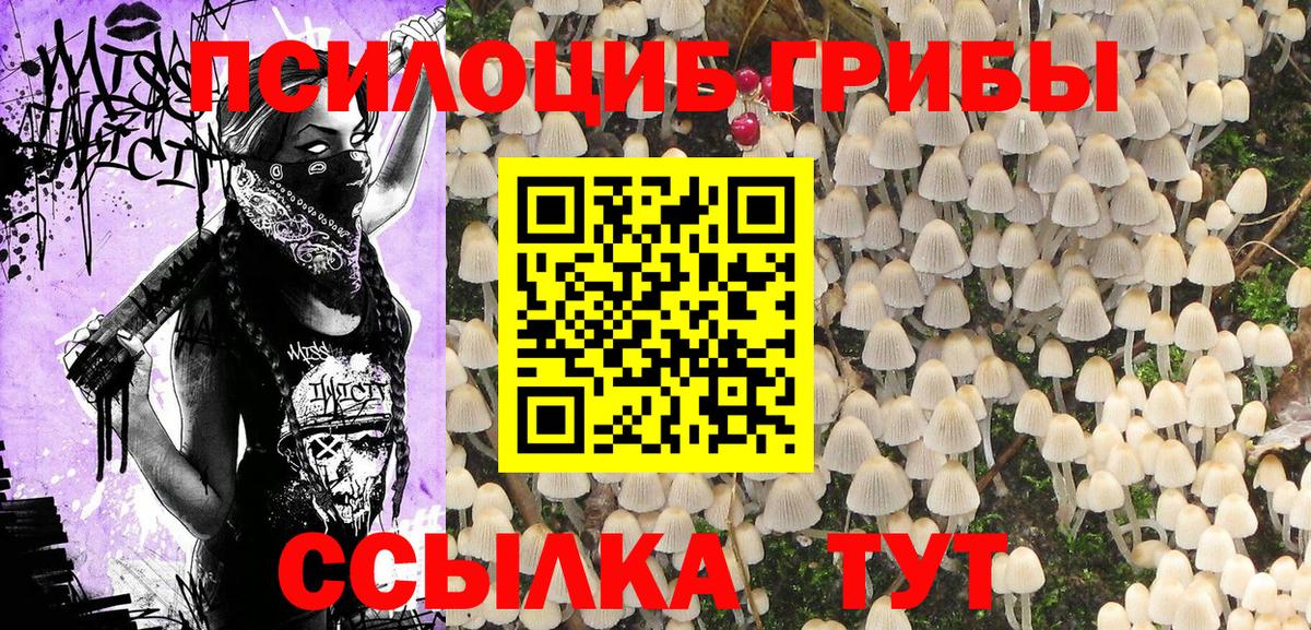 Галлюциногенные грибы ЛСД Арсеньев